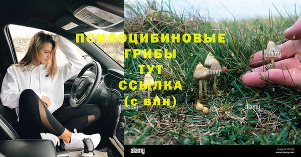 кристаллы Богородск