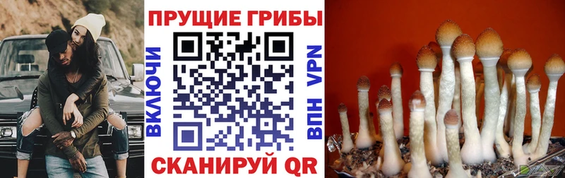 купить наркотики сайты  kraken маркетплейс  Галлюциногенные грибы прущие грибы  Удомля 